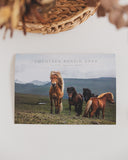 Faroese Horse Calendar 2024 - Føroyska Rossið 2024