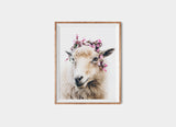 Faroese Sheep Fine Art Print Floral "Bambi"