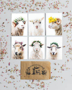 Handpicked for you - set of 6 Postcards